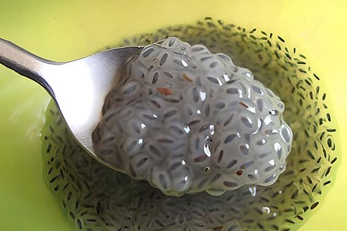 Chia-Pudding in 5 Minuten: Das Grundrezept und drei Varianten
